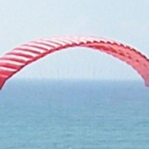 Paramotor Wings